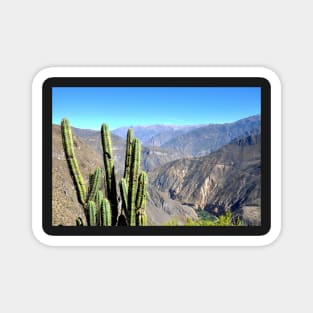 Pérou - Arequipa - Canyon de Colca Magnet