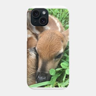 Fawn on the Farm Phone Case