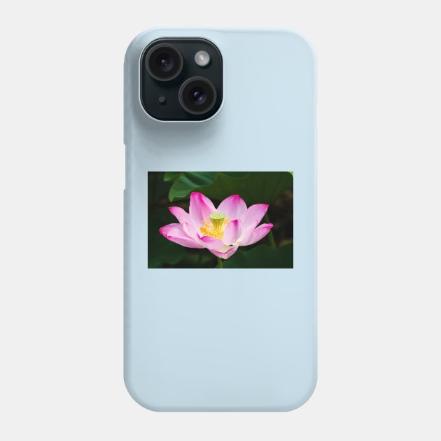 Lotus Phone Case by thadz