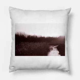 A View of the Marshes Pillow