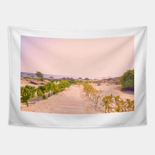 Pathway to the beach in Oman pink version Tapestry