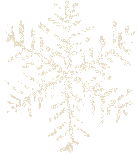 Vintage Snowflake T-Shirt Winter Holiday Gifts Creme Magnet