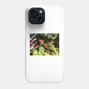 Rufous or Allen's Phone Case