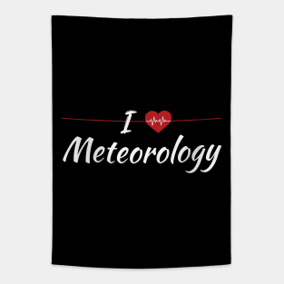 I Love Meteorology Cute Red Heart Tapestry