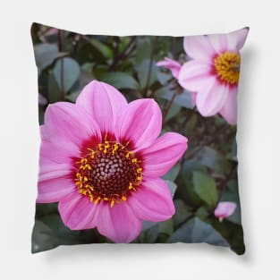 Blue Bayou Anemone Dahlia Pillow