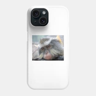 Macaque,Relaxing,Old World Monkeys Phone Case