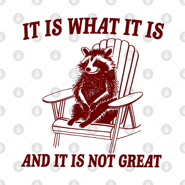 It Is What It Is And It Is Not Great Raccoon by Drawings Star