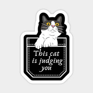 This cat is judging you Magnet