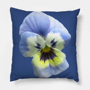 blue pansy flower, pansies, violets, bloom, viola Pillow