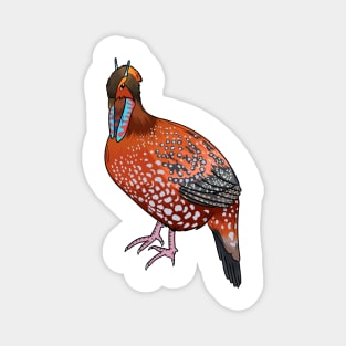 Cabot's tragopan bird cartoon illustration Magnet