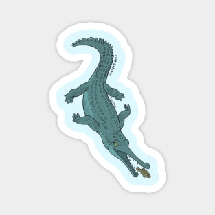 Fish Catcher - EN - Gharial Magnet