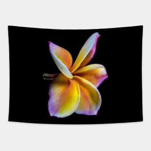 plumeria-flowers-frangipani-floral-awesome-bossom-shirtyshirto-39 Tapestry