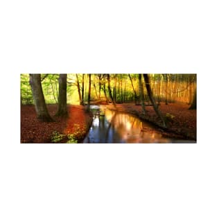 Autumn forest stroll next to creek T-Shirt