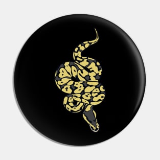 Baby Ball Python Snake Lover Pastel Yellowbelly Cute Noodle Pin