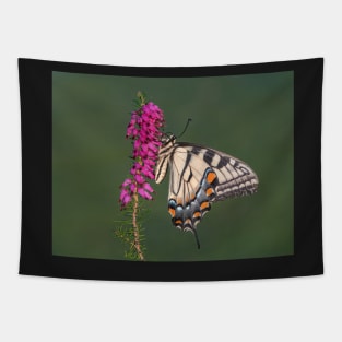 Tiger Swallowtail Butterfly on heather Tapestry