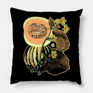 Botanical Cantaloupe Melon Fruit Plant Pillow