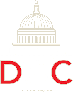 Guard Your Dome Magnet