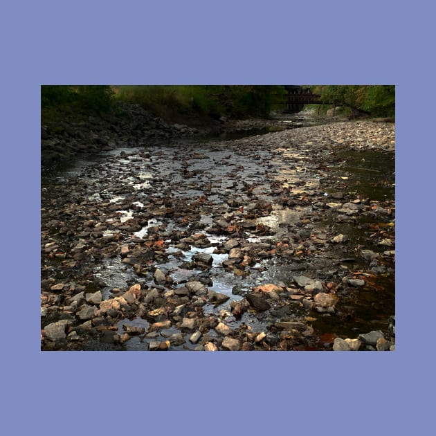 Photo of River Rock with Bridge in Background - Tomahawk Creek Overland Park KS by Zen Goat 