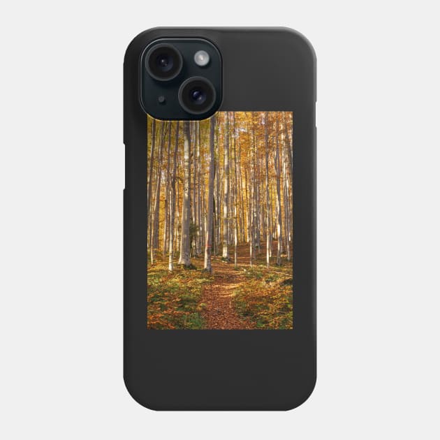 Deciduous forest with big trees Phone Case by naturalis