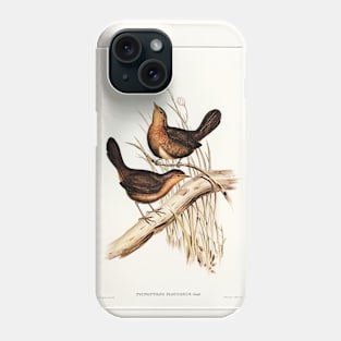 Downy Pycnoptilus Phone Case