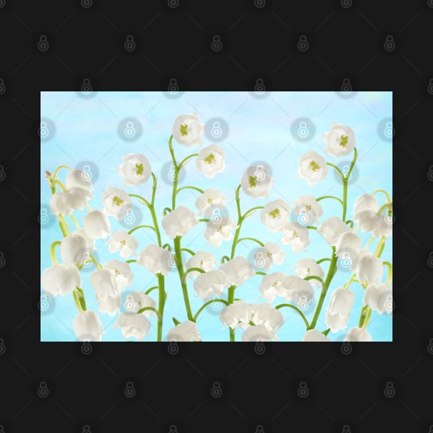 Lily of the Valley Flowers by lauradyoung