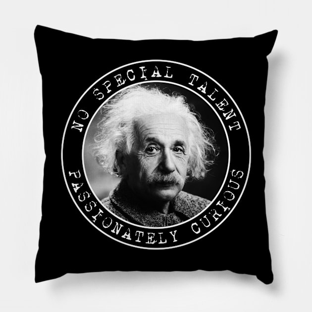 Einstein - No Special Talent - Passionately Curious - Circles Pillow by Barn Shirt USA