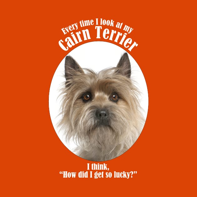 Lucky Cairn Terrier by You Had Me At Woof