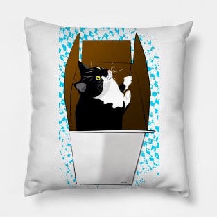 Cute Tuxedo Cat in a box Copyright TeAnne Pillow