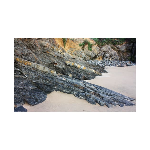 Crawling Slowly.. Outcrop at the Panther Beach, Highway 1, California by IgorPozdnyakov