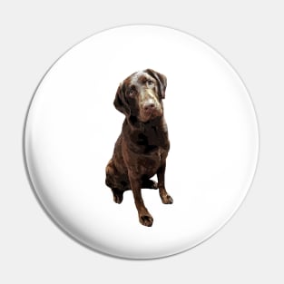 Labrador Chocolate Lab Pin