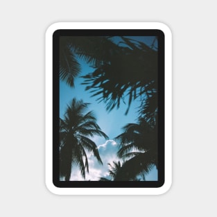 Tropical sunset Magnet