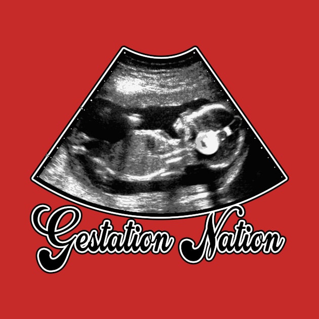 Gestation Nation #1 (light version) by JohnFerenz