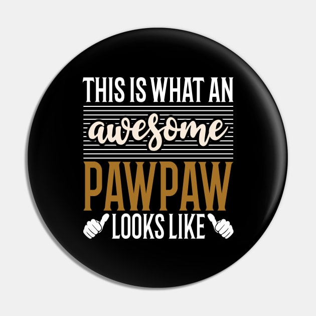 This is what An Awesome Pawpaw looks like fathers day Pin by Tesszero