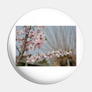 Almond Blossom Pin