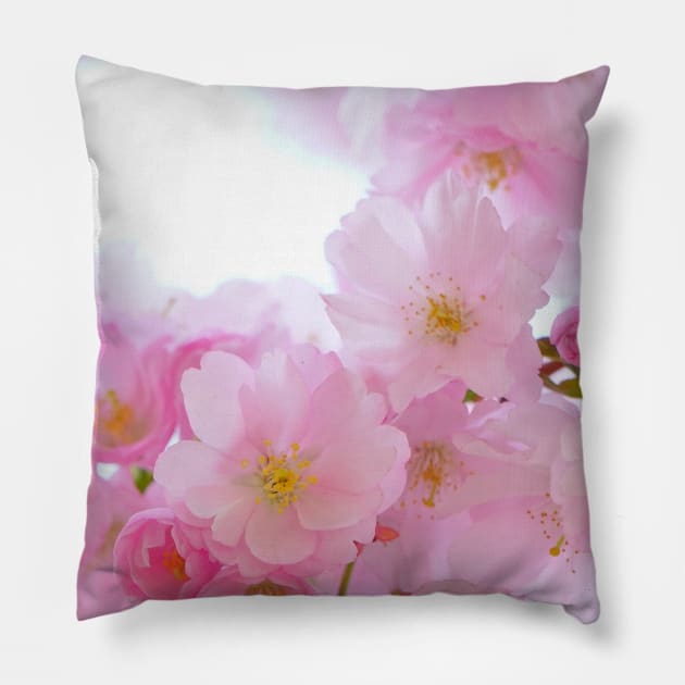 sakura flower Pillow by Fashion planet