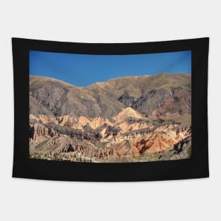 Argentine - Quebrada de Humahuaca Tapestry