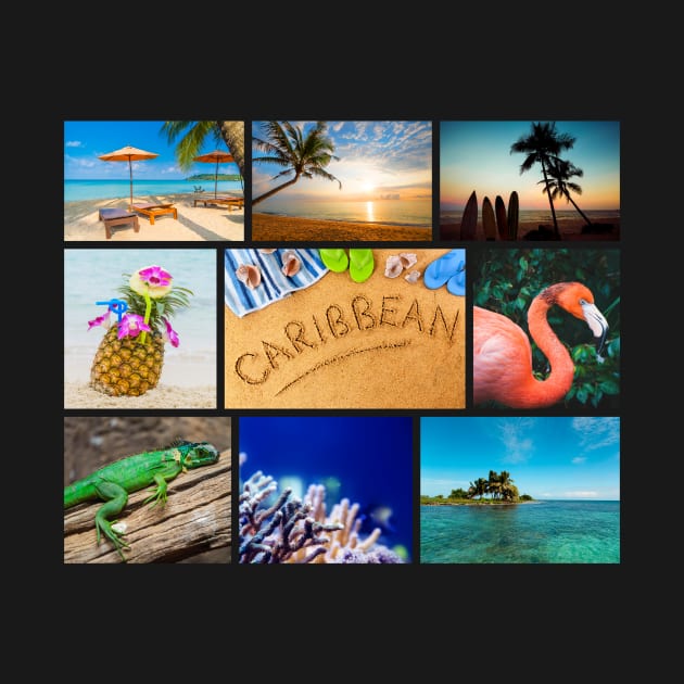 Caribbean Tropical beaches gallery Souvenir by peter2art