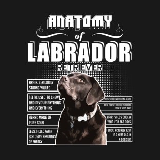 Anatomy of Labrador Retriever T-Shirt