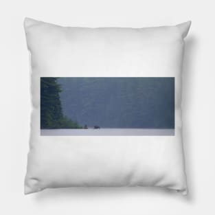 Early morning moose, Algonquin Park, Canada Pillow