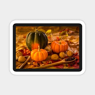 Fall Food 5 Magnet