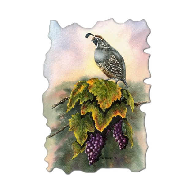 Vineyard Quail by Dave Bartholet Wildlife Art