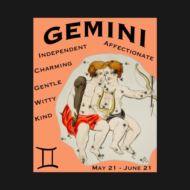 Gemini positive traits t-shirt by Pheona and Jozer Designs