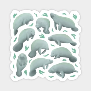 manatees Magnet