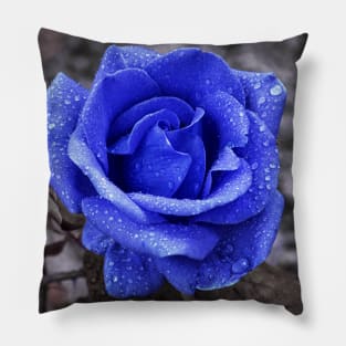 Blue rose Pillow