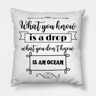 What you know is a drop what you dont know is an ocean Pillow