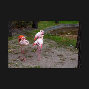 Pink and red flamingo T-Shirt