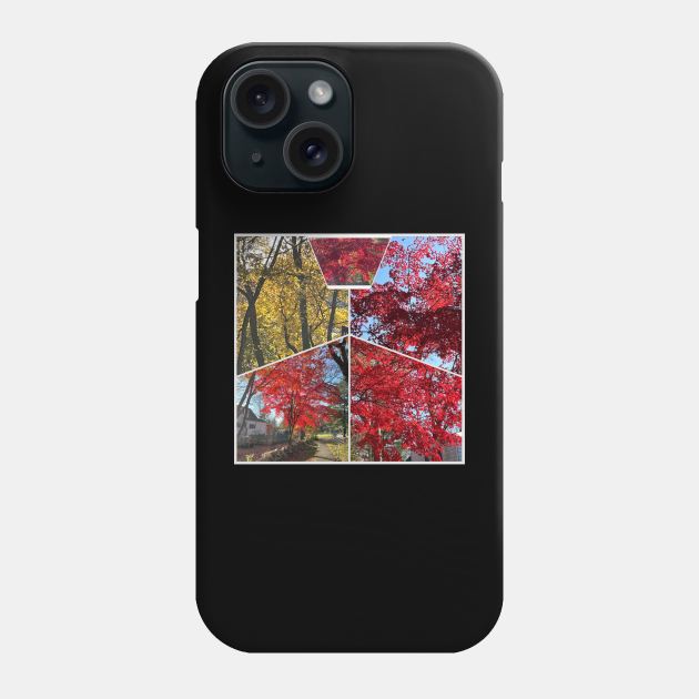 Foliage Collage Phone Case by Barschall