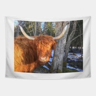 Scottish Highland Cattle Cow 1956 Tapestry