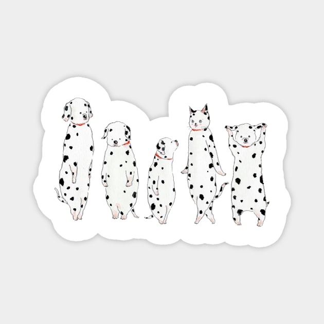 Dalmatian Cat Magnet by TOCOROCOMUGI