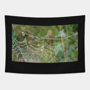 Droplets Web Tapestry